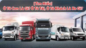 [Tìm Hiểu] Ô tô con là gì? Ô tô tải, ô tô khách là xe gì?