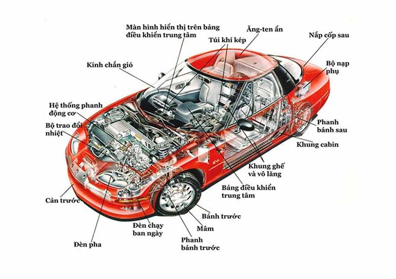 Ô tô tiếng anh là gì? Từ vựng phổ biến chuyên ngành Ô tô