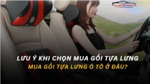 Lưu Ý Khi Chọn Mua Gối Tựa Lưng Ô Tô? Mua Gối Tựa Lưng Ô Tô Ở Đâu?